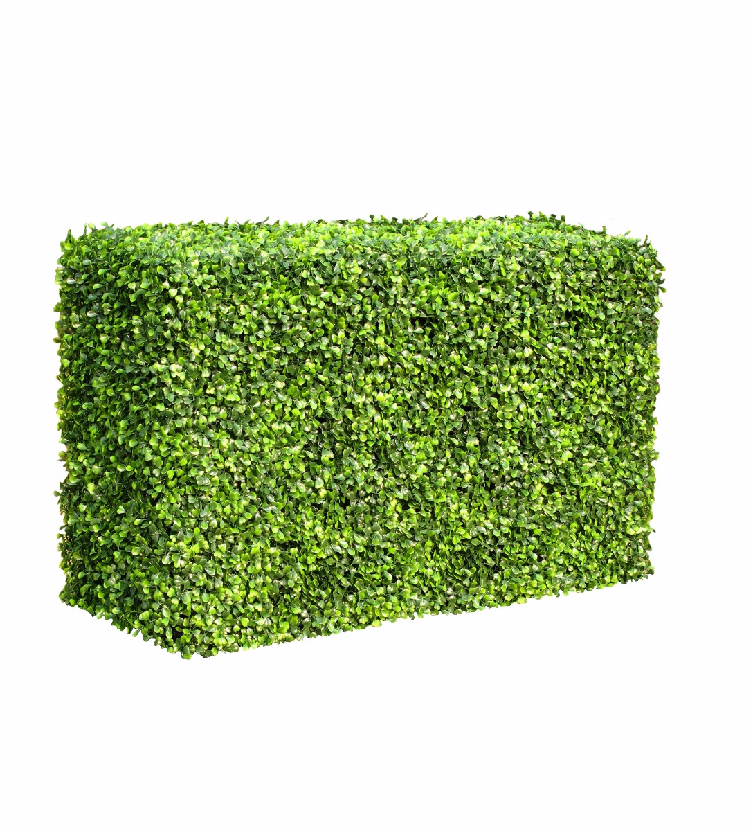 Portable Boxwood Hedge 1m Long 50cm High 30cm Deep  Z3174