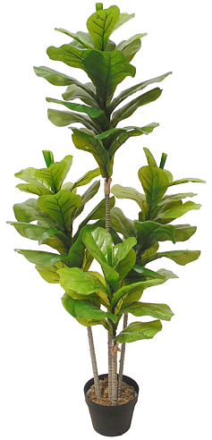 Artificial Fiddle Fig 135cm  Z3178