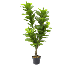 Artificial Fiddle Fig 130cm  Z3179