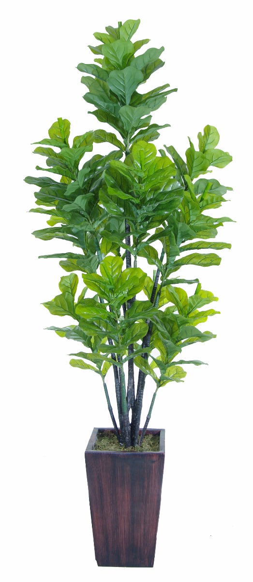 Artificial Fiddle Fig 180cm  Z3180