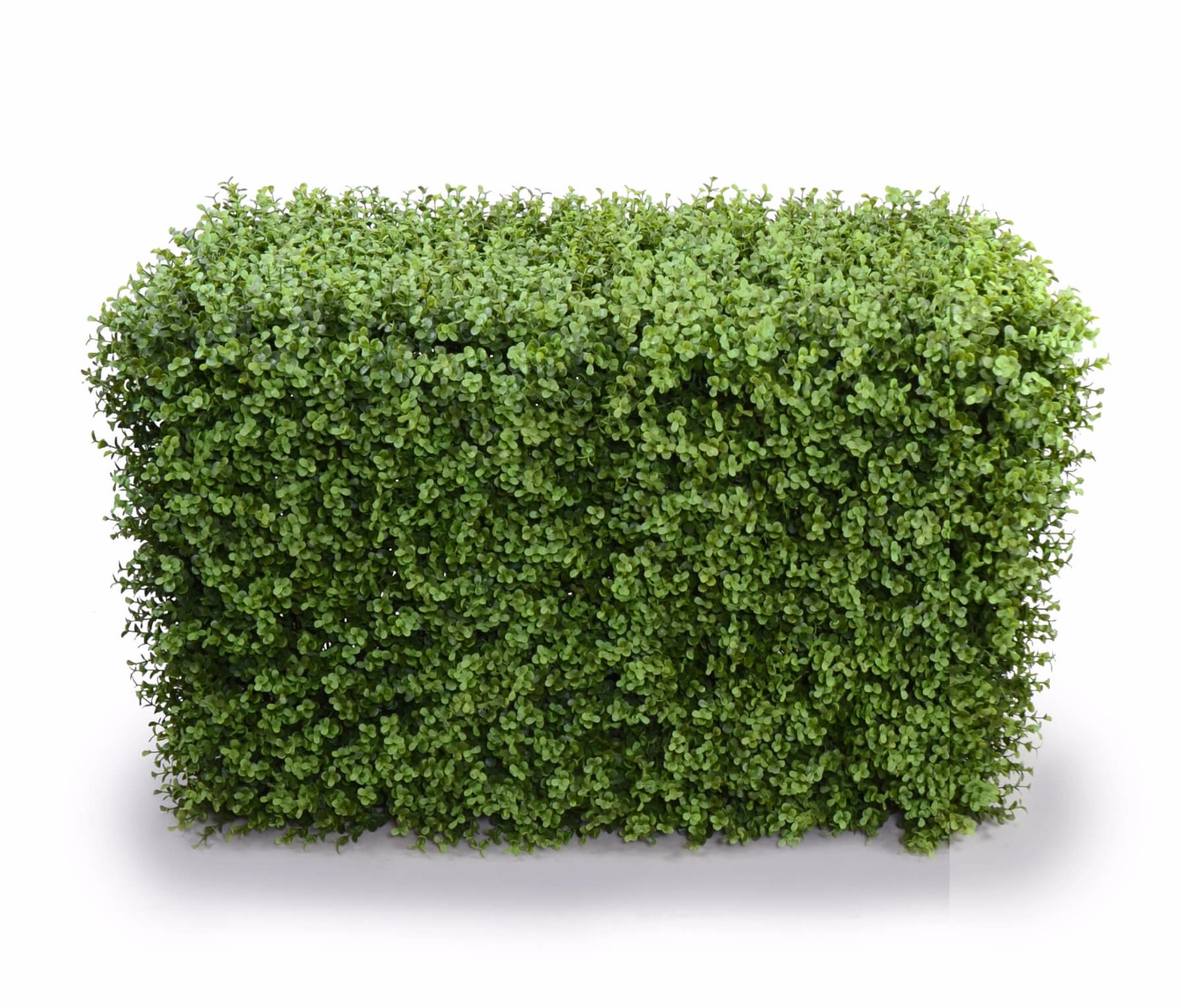 Deluxe Portable Buxus Hedges UV Stabilised 100cm Long X 55cm High  Z3183