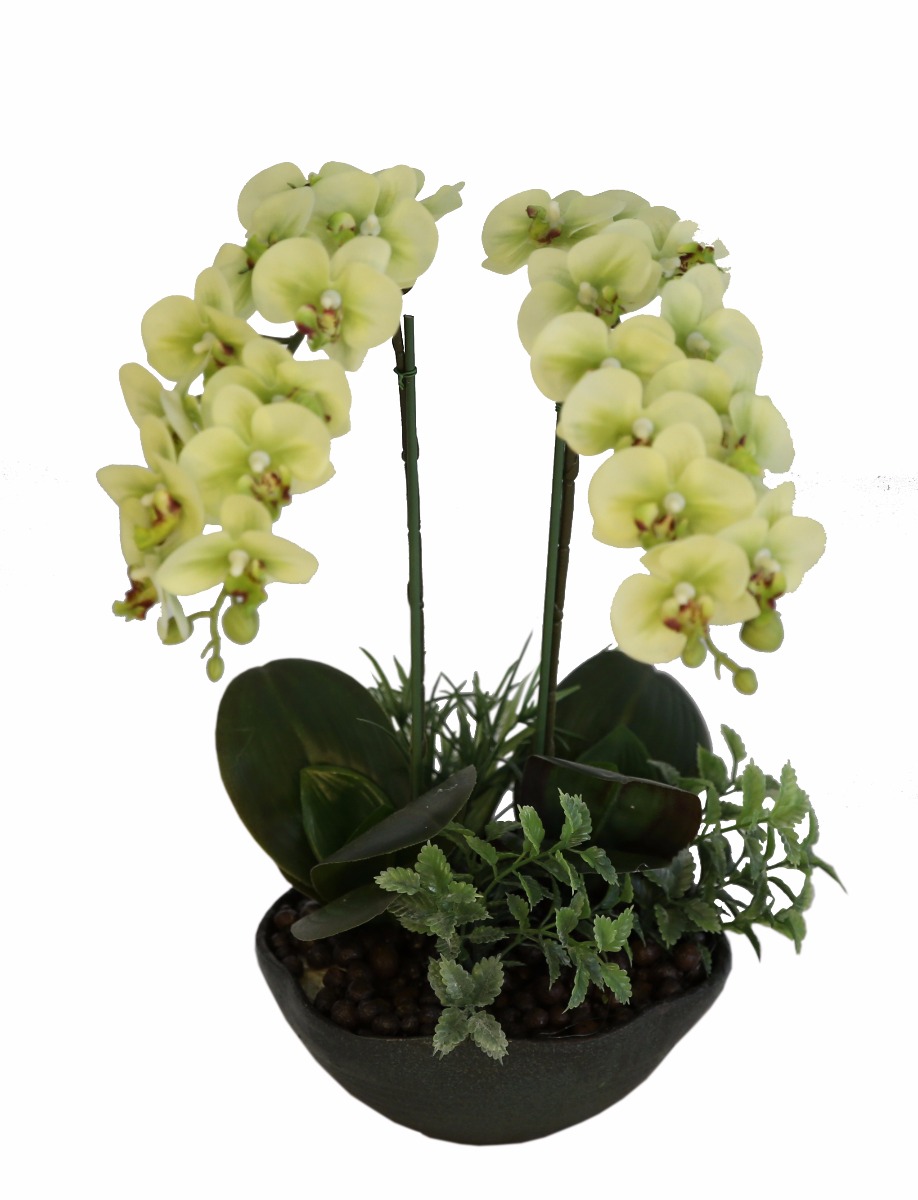 White Phalaenopsis Orchid Floral Arrangement And Pot 45cm Real Touch  Z3191