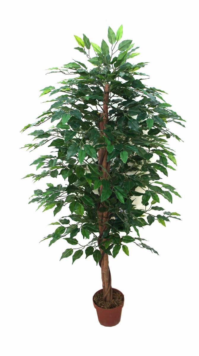 Artificial Bushy Ficus Tree 145cm  Z3194