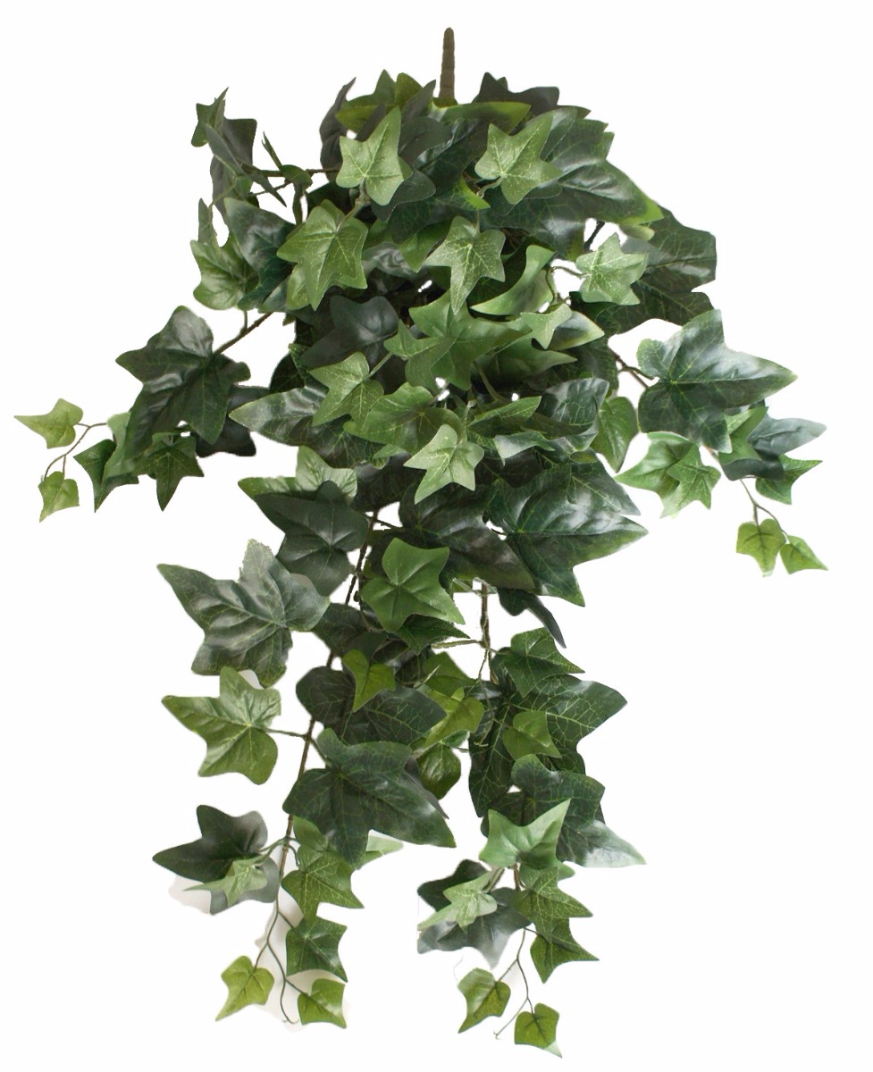 Mixed Ivy Hanging Bush 70cm  Z3199