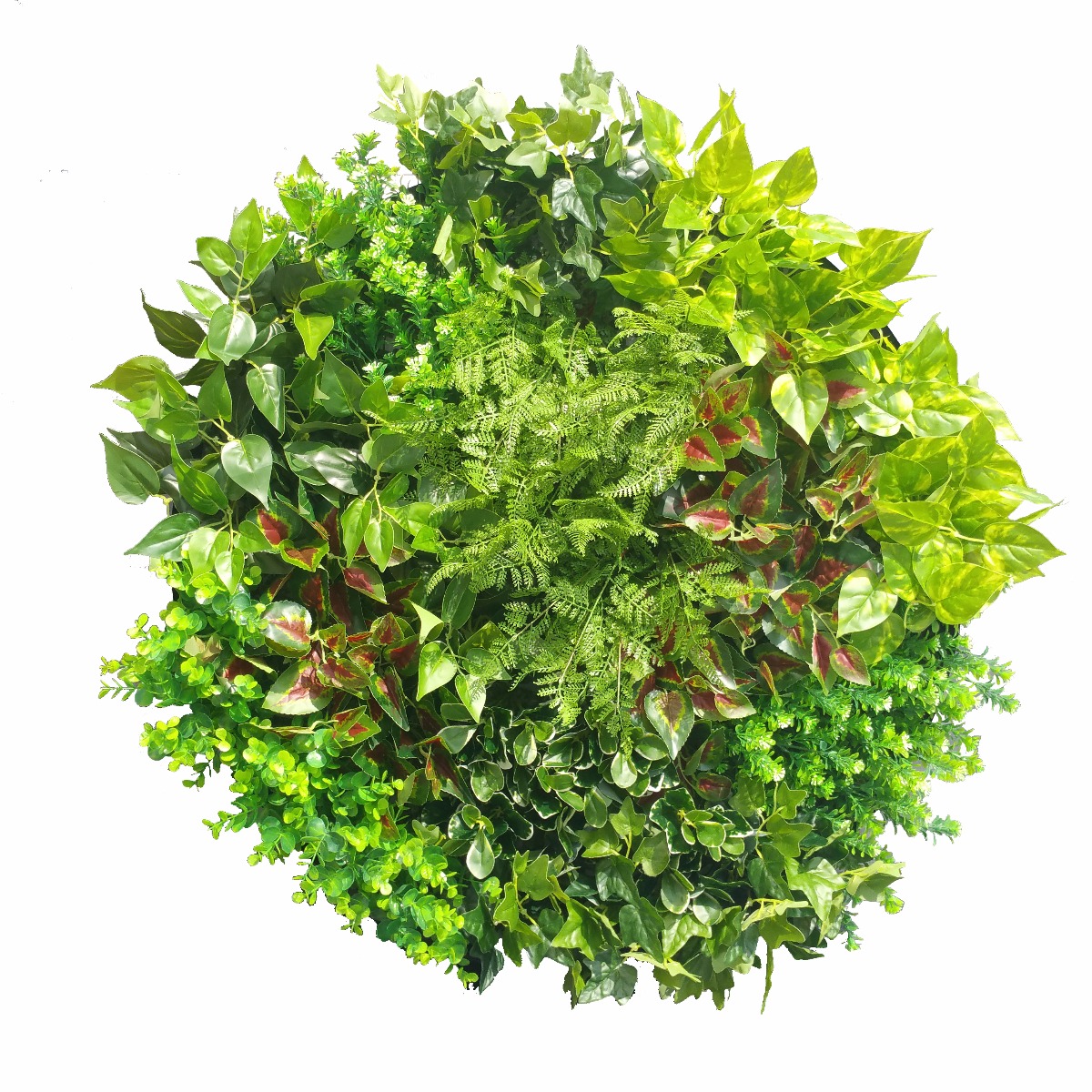 Artificial Green Wall Disk Art 80cm - Mixed Fern  Z3202