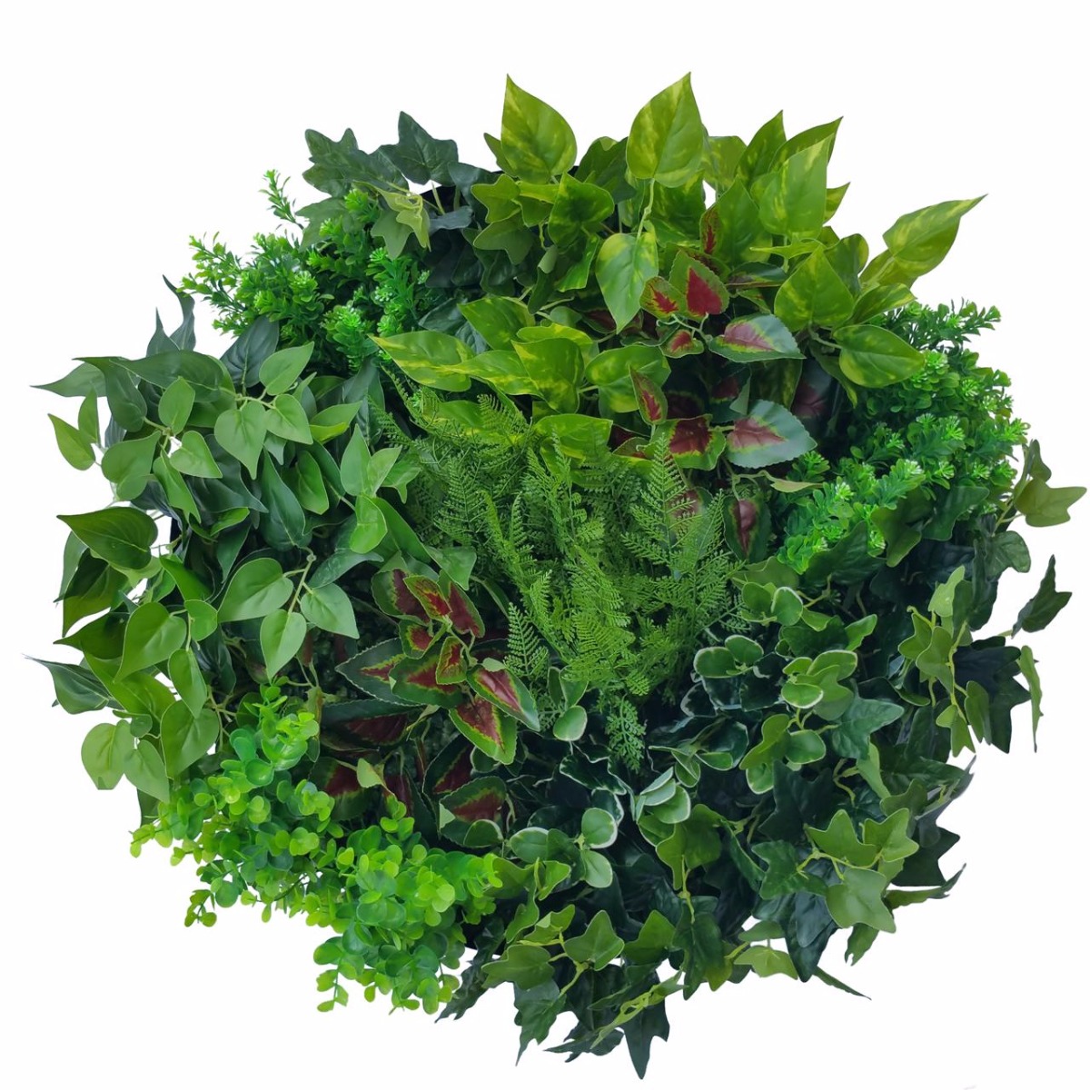 Artificial Green Wall Disk Art 60cm - Mixed Fern & Ivy  Z3205