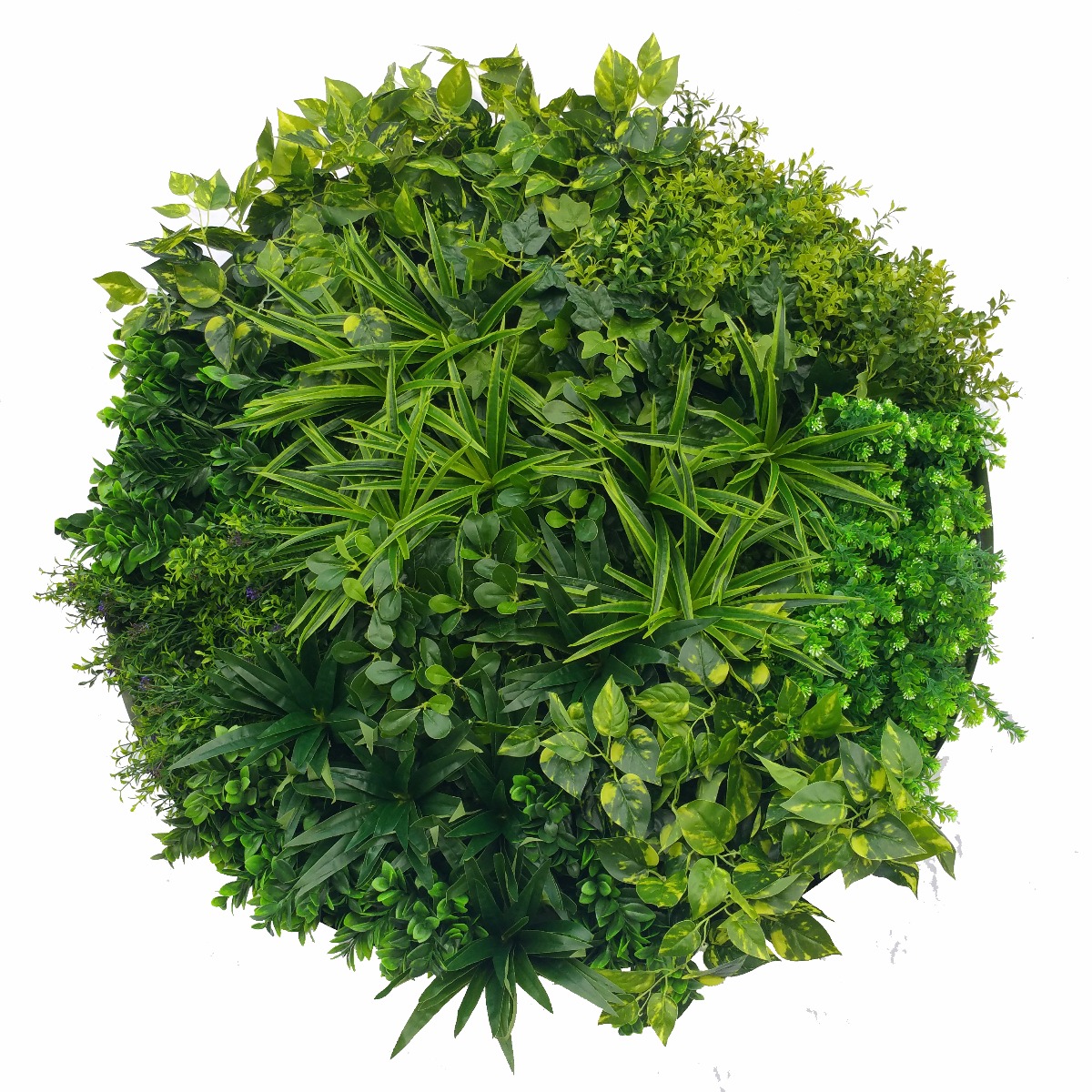 Artificial Green Wall Disk Art 100cm - Dark Aloe Vera  Z3206