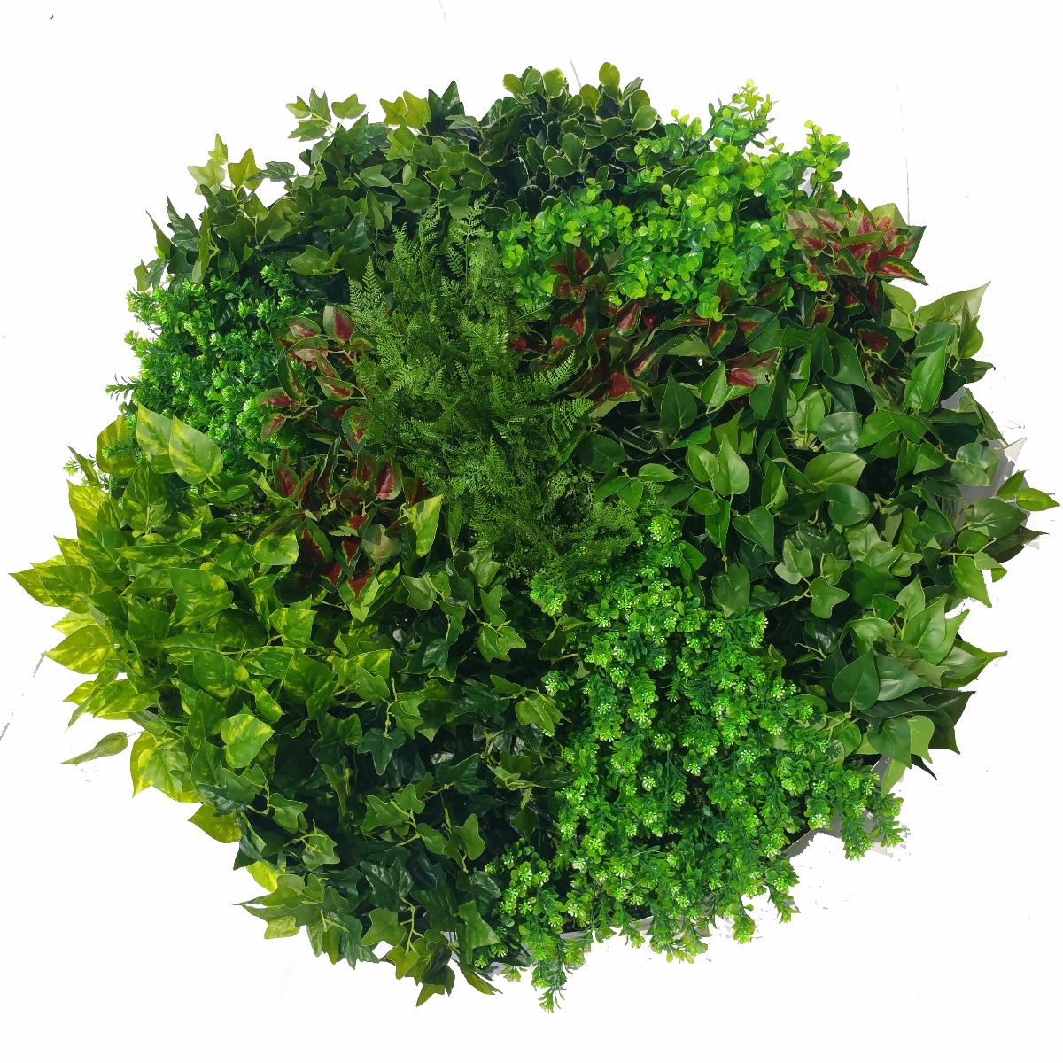 Artificial Green Wall Disk Art 100cm - Mixed Ivy And Fern  Z3207