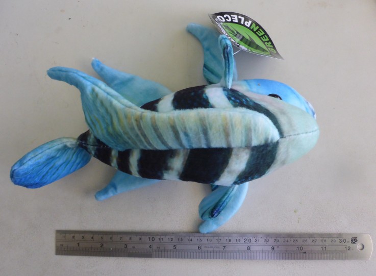 Plush Frontosa