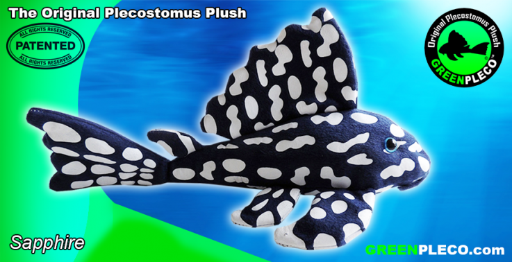 Sapphire Plush Pleco