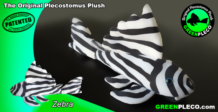 Zebra Plush Pleco