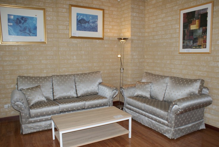 sofas 2+3 seater