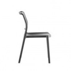 Ara Chair