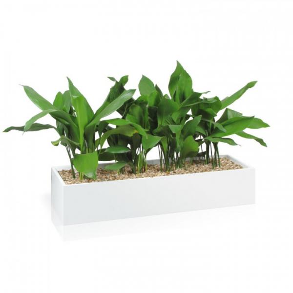 Australian Made - Planter Box - 240Mm Hi